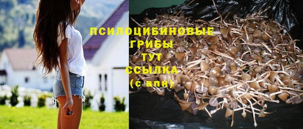 не бодяженный Абдулино