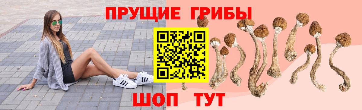 Сызрань  Псилоцибиновые грибы Cubensis  Вход с VPN  Галлюциногенные грибы Magic Shrooms 
