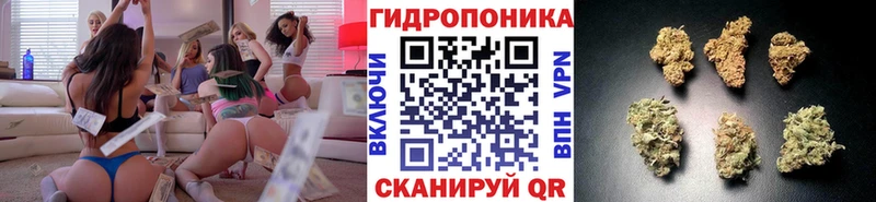 купить закладку  Сызрань  Бошки марихуана индика 